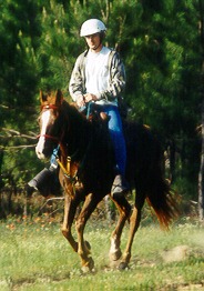 HAWLA AL BADIA+ at the Armadillo endurance ride, 1999.