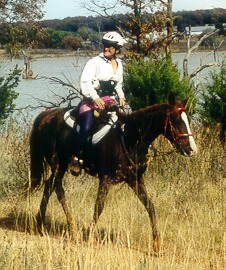 HAWLA AL BADIA+ at the Bell Cow Frost endurance ride, 2002. 