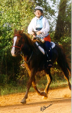 HAWLA AL BADIA+ at the Foxfire endurance ride, 2002