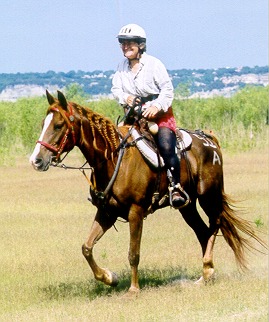 HAWLA AL BADIA+ at the Heart of Texas endurance ride, 2003. photo by J Adame